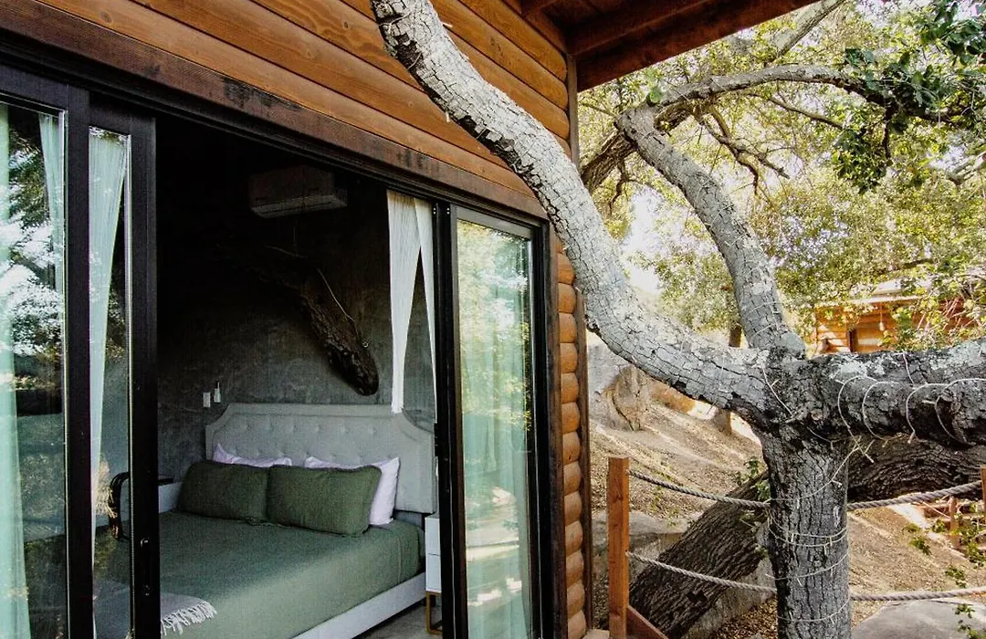 Boskenvid Hotel - Romantic Treehouses & Skypool-1