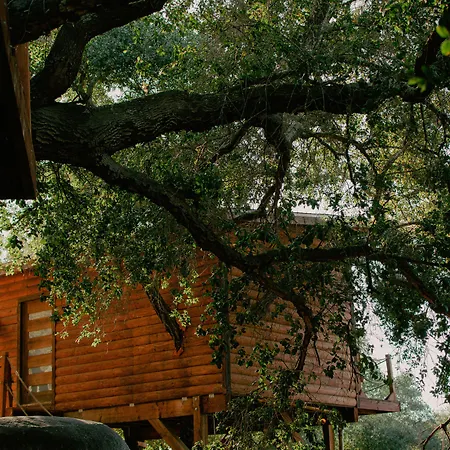 Boskenvid Hotel - Romantic Treehouses & Skypool-3